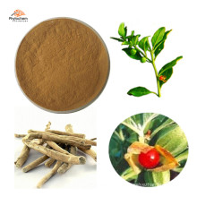 Food grade 2.5%-98% ashwagandha extract powder